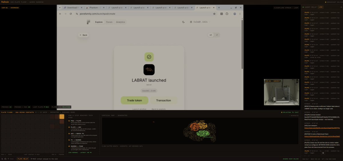 brainlabrat tweet picture