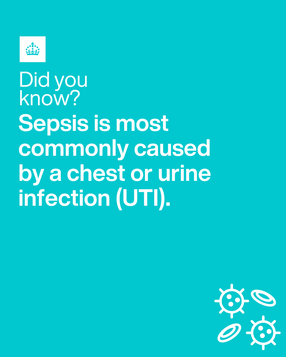 UKHSA's tweet photo. You might know that sepsis is a serious condition, but were you aware that it is a reaction to an infection, and that it can be life-threatening?

📱For more information, including symptoms, visit the NHS website.
🔗 https://t.co/AXWgQmb03D

#WorldSepsisDay #SepsisAwarenessMonth https://t.co/VBZyLALfOg