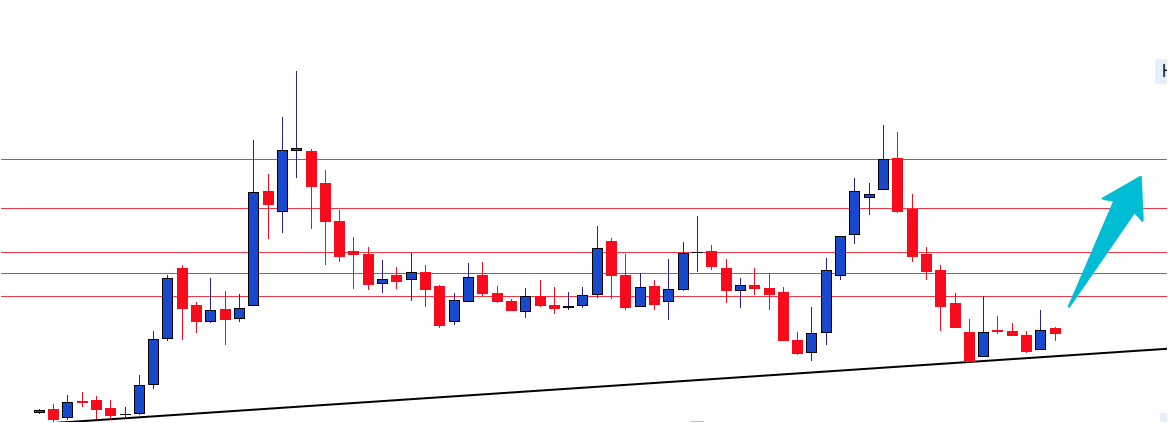 SSwing_Trade's tweet photo. Guess the name of stock??   

Currently at monthly trendline support and has potential to move 40 to 50% in short time.    

 Don’t forget to like, repost, and comment!
#StockTips #Nifty #SmallCapStocks #stockturnaround #stockreversalalert #Investing #swingtrade #StockMarket https://t.co/wLebIqZb7a