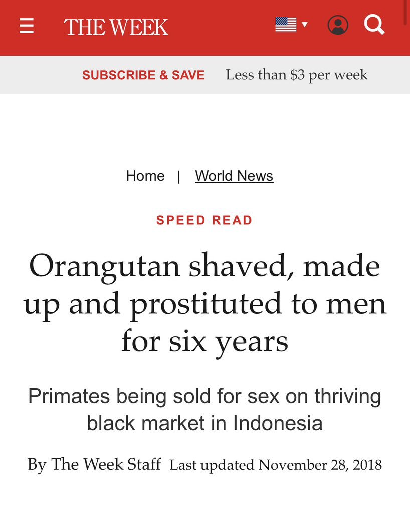 successfulras's tweet photo. @ShivAroor @indiratendi Yeah sure they are safer in Indonesia!! https://t.co/LTpYiAbzrD