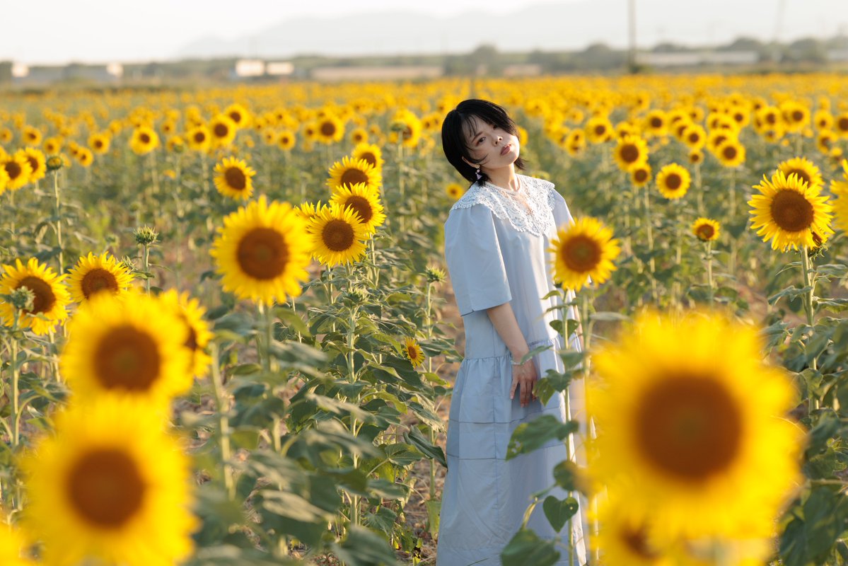 fuj1732's tweet photo. portrait

なんか照れくさくてさ

撮影: @Hiroki_mabi https://t.co/mK6oIMTL2S