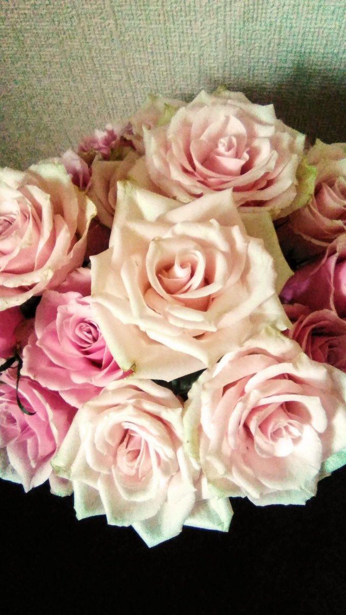 marie_bruce's tweet photo. These beautiful roses were under a fiver from the supermarket and they have opened up so well. Pink roses are my favourite. They remind me of a ballerina's tutu. 💕😃 https://t.co/hXpI7Hyaub
