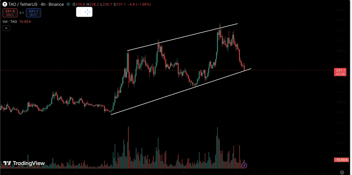 BTdicas's tweet photo. #TAOUSDT in a 4H channel. Should we buy more at these levels or wait for a dipper dip?

  #TAO #Bittensor #TAOUSDT #Crypto #Bitcoin #Altcoins #CryptoTrading #TechnicalAnalysis #PriceAnalysis #Trading #CryptoMarkets https://t.co/BcL8AGK9ha