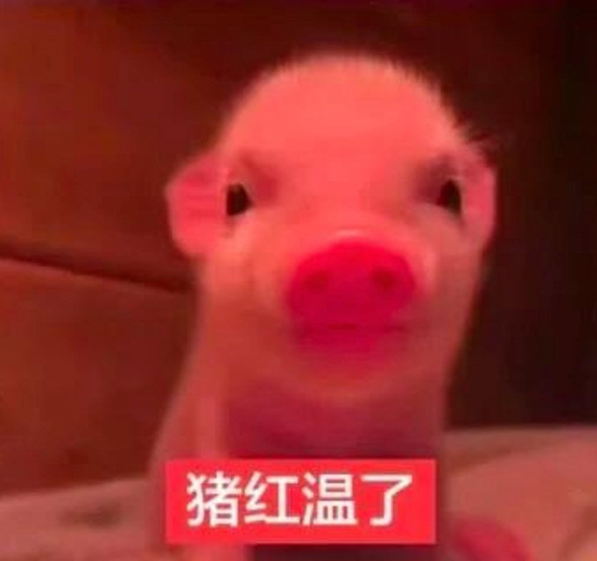 Purelove0225's tweet photo. 我的男同事都是贱货，职场里男的一股爹味，官威那么大竟然没有官位 https://t.co/HkxtBnca7d