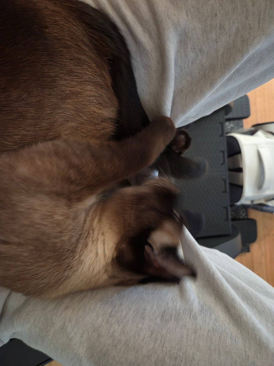 myseokryudan's tweet photo. MATTHEW POSTED HIS BABY GIA LYING ON HIS LAP ON THE STAIRMASTER 😭😭😭 https://t.co/VPZCnjivO0