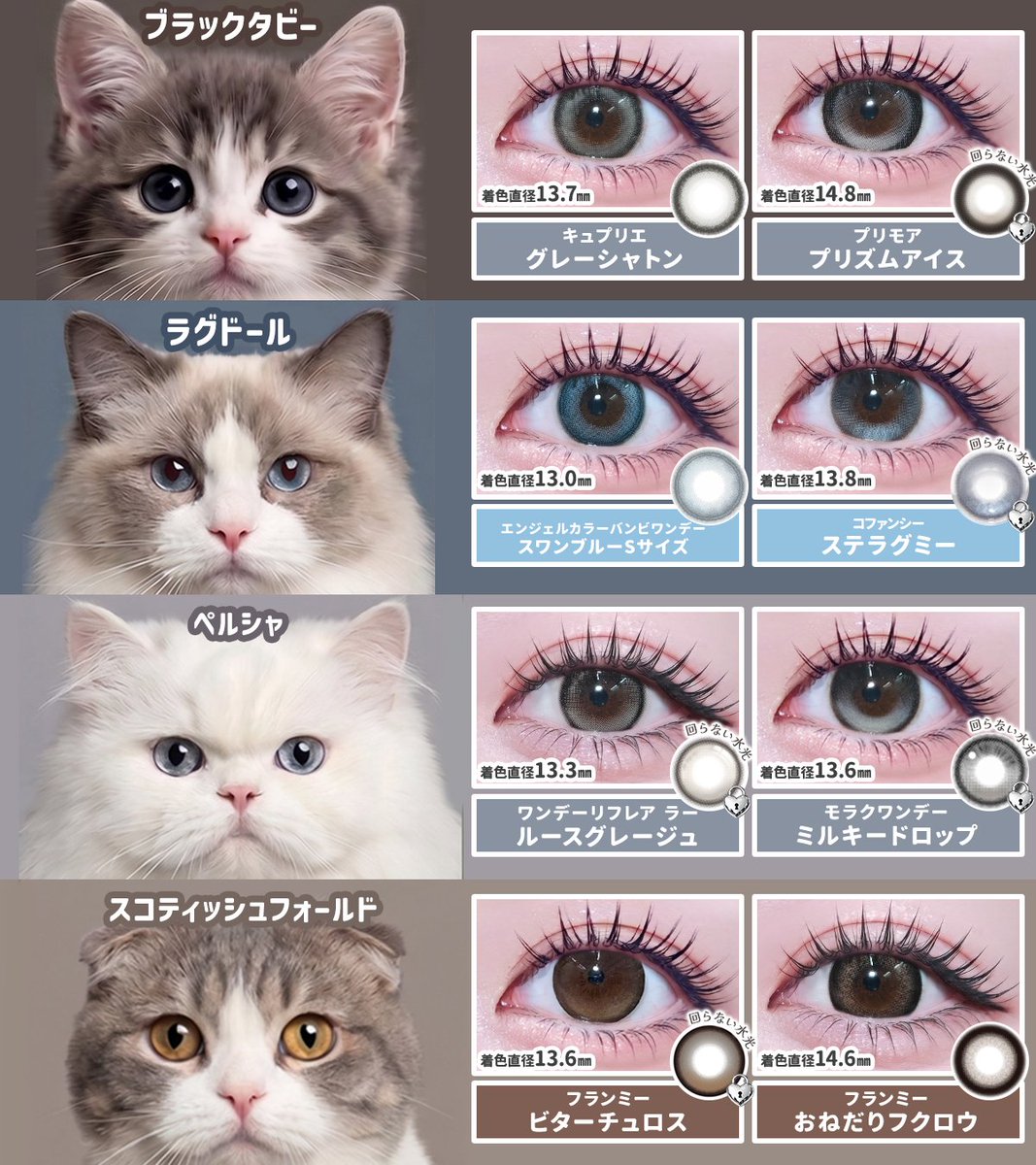 more_contact's tweet photo. 🐈‍⬛♡ 猫の種類別に選ぶ、猫目カラコン🐾
猫ちゃんの種類ごとに、目元の雰囲気をイメージしてカラコンをセレクトしてみました👀✨ https://t.co/hd5bnt8mjo