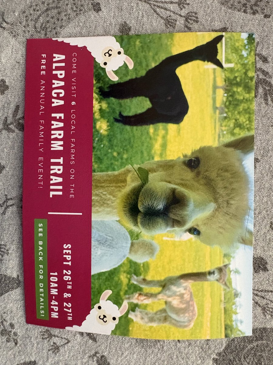 bigdpbigd86's tweet photo. September 20th 10a-1p GATES NY, FARMERS MARKET THE LOT IN FRONT OF THE GATES PUBLIC LIBRARY
UPCOMING EVENTS
-National Alpaca Farm day Sept 26 + 27th 10-4 at velvet ridge farm. Bring the family, pet the alpaca
For full list check out the link below. 

https://t.co/4zOhSWS98r https://t.co/RmINATExne