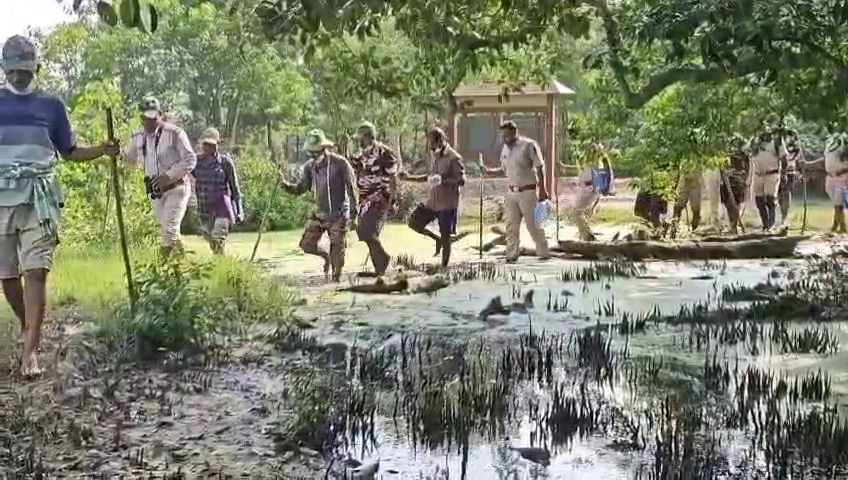 otvkhabar's tweet photo. #ଭିତରକନିକାରେ_ଦେଶୀୟ_ପକ୍ଷୀ_ବୃଦ୍ଧି
-କେନ୍ଦ୍ରାପଡ଼ା: ଭିତରକନିକାରେ ବଢ଼ିଲେ ଦେଶୀୟ ପକ୍ଷୀ
-ଗତବର୍ଷ ତୁଳନାରେ ୧୪୮୩ଟି ଅଧିକ ପକ୍ଷୀ ଅଛନ୍ତି
-ଚଳିତ ବର୍ଷ ଅଛନ୍ତି ୧୦ ପ୍ରଜାତିର ୧ ଲକ୍ଷ ୩୨ ହଜାର ୨୭୯ଟି ପକ୍ଷୀ
#Bhitarkanika #Kendrapara #Odisha #ResidentBirds #MonsoonBirds #BirdCensus #WildlifeOdisha #MangroveForest #Heronry #Odisha #otv