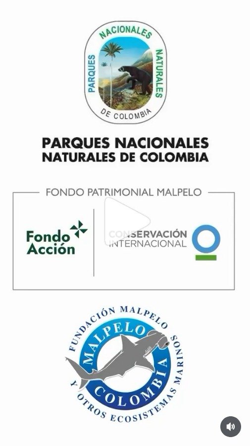 RuraliaUrbana's tweet photo. Las "casualidades" en la administración pública suelen ser la excusa perfecta cuando los conflictos de interés se vuelven demasiado obvios...

El uso de canales oficiales de comunicación estatal como vitrina para organizaciones privadas no es un hecho aislado ni accidental, solo evidencia la captura sutil de las instituciones públicas por redes de interés corporativo y no gubernamental. 

La difusión masiva de contenidos promocionales dentro del canal de WhatsApp Comunicación Interna de Parques Nacionales Naturales de Colombia PNNC - diseñado exclusivamente para la articulación técnica de 643 funcionarios y contratistas de @ParquesColombia  (PNNC) - expone cómo la frontera entre la función pública, la cooperación internacional y el sector privado se ha disuelto en favor de una gestión endogámica.🧐🔎
(Pantallazo 1)

La plataforma pública al servicio del prestigio privado ??
El envío formal desde la administración del chat institucional de un reel de Instagram centrado en las expediciones de la Fundación Malpelo y Otros Ecosistemas Marinos constituye una instrumentación deliberada de la infraestructura del Estado:
https://t.co/s1hZWnUnWn

Marketing usando propaganda "a lo que dé": la agenda que impone folclorizar la "Patria Milagro".

Este episodio cobra gravedad ética e institucional al revisar el organigrama actual: la dirección general de PNNC está a cargo de @sandrabessudo, quien históricamente fundó, lideró y posicionó a la Fundación Malpelo.

Utilizar la base de datos oficial, los recursos técnicos y la reputación de la autoridad ambiental para dar visibilidad a la Fundación que la misma directora ha presidido genera un presunto evidente conflicto de intereses y facilita el palanqueo de financiamiento internacional privado con el aval de la plataforma estatal. Así mismo es también bastante "milagroso" que promocione a la firma de su actual jefe incurriendo con él en el mismo presunto advertido.
(Pantallazo 2 y 3)🧐🔎

La red de puertas giratorias y el flujo de fondos !!
La pieza audiovisual difundida cierra con los logotipos del Fondo Patrimonial Malpelo, @FondoAccion, @ConservationOrg/@CIColombia (Conservación Internacional - Colombia), la @FMalpelo y PNNC. Esta convergencia no responde a una articulación inocua, sino a una red interconectada donde los mismos actores rotan entre el control del Estado y la administración de donaciones internacionales.

*Parques Nacionales (PNNC):
Ejerce la autoridad pública regulatoria y ambiental sobre las áreas protegidas del país.

*Fundación Malpelo.
Organización Privadadirigida históricamente por Sandra Bessudo; principal beneficiaria de visibilidad institucional.

*Conservación Internacional.
ONG Global. Cantera de cuadros técnicos y directivos del sector ambiental público (@fabio_arjona actual @MinAmbienteCo ).

*Sector Turístico / @AviaturEmpresa Privada de @JeanClaude_Gic padre de la actual Directora de PNNC. Interés comercial en ecosistemas protegidos con pretensiones de ecoturismo privatizado: @aviatur_eco.

En fin... 

La comercialización de la política soberana de conservación !!
La presencia recurrente de estos actores en la estructura del Fondo Patrimonial Malpelo devela el circuito por el que transitan millones de dólares en cooperación ambiental. 

Cuando las decisiones normativas y la infraestructura del Estado se alinean con los intereses del ecoturismo privado y las agendas de recaudación de fondos de sus aliados (clientelismo, amiguismo), la conservación ambiental deja de responder a una política pública soberana. En su lugar, la gestión de las áreas protegidas queda subordinada a un modelo de negocio privado apuntalado por la puerta giratoria entre el sector público y el corporativo.
No existen casualidades en la arquitectura del poder ambiental, solo causalidades administrativas.
@RELE_CIDH 
@dw_espanol 
@Casa_Macondo 
@ElPaisAmericaCo