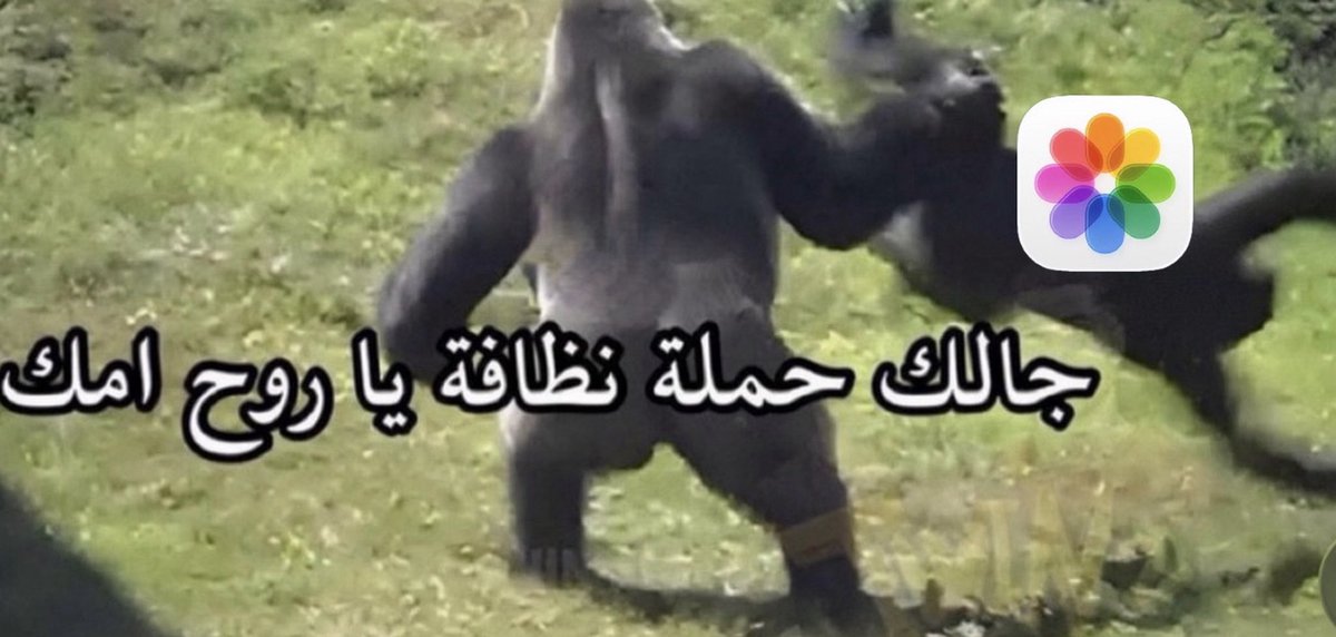 A55dear's tweet photo. الوضع إذا طفى النت https://t.co/7uI38dlHoB