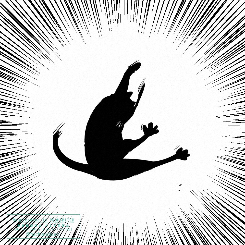 hachiandkuro's tweet photo. うちの猫を描けたら楽しいだろうな～と思って練習してる https://t.co/CrRteIlglU