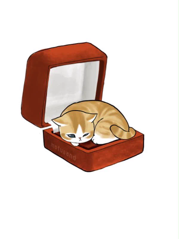 ぢゅの🐈 on X: 