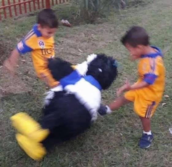 ingWichoU's tweet photo. ALV LA PANDILLA !! https://t.co/OC1oPQQsVB