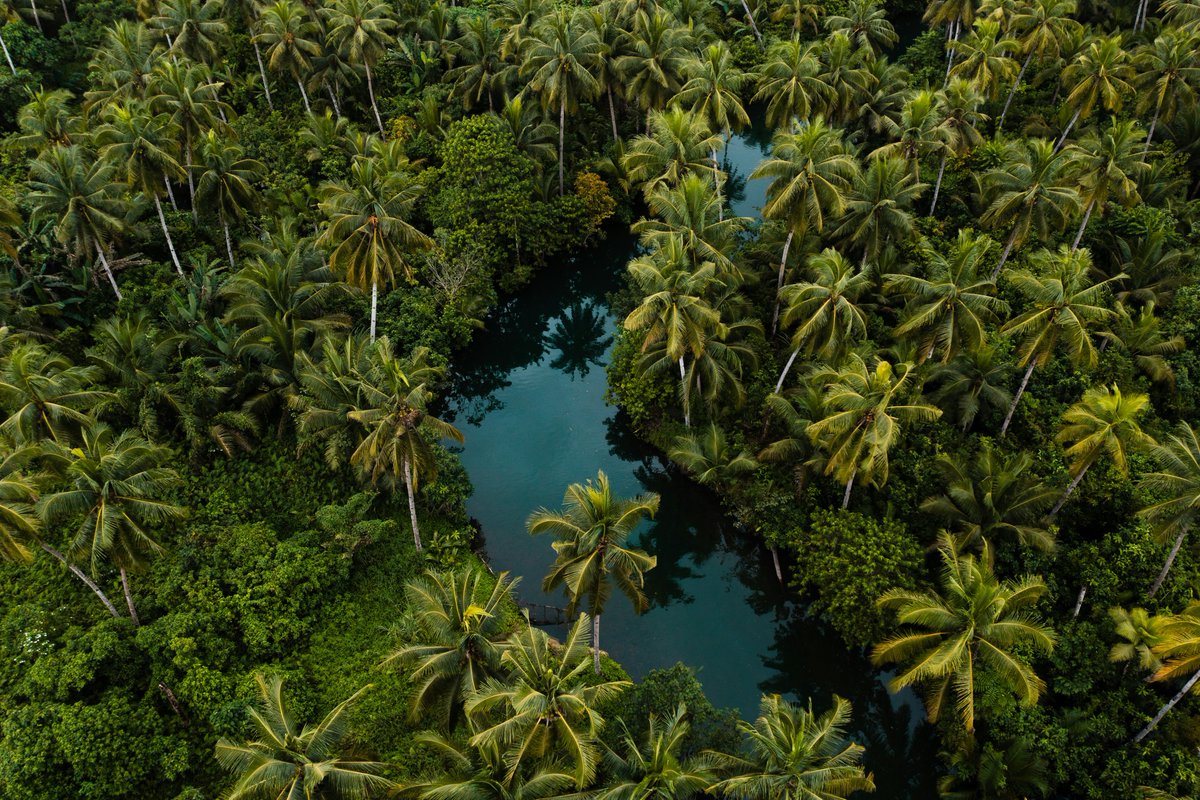 unsplash's tweet photo. Looking for a new #wallpaper? 🖥️

Here are 3 picks from the Unsplash community, featuring Marcreation, Pawel Czerwinski, and Rafael Peier

Which one are you choosing? Vote below 👇 https://t.co/ymJ6gKHGdJ