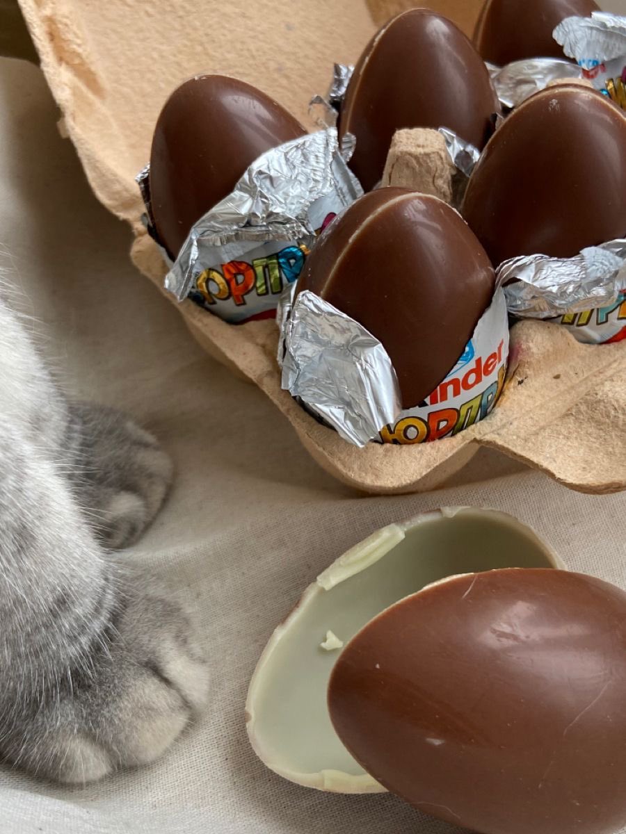 OffersGuide1's tweet photo. 🥚🍫 https://t.co/Il04LsKyHp