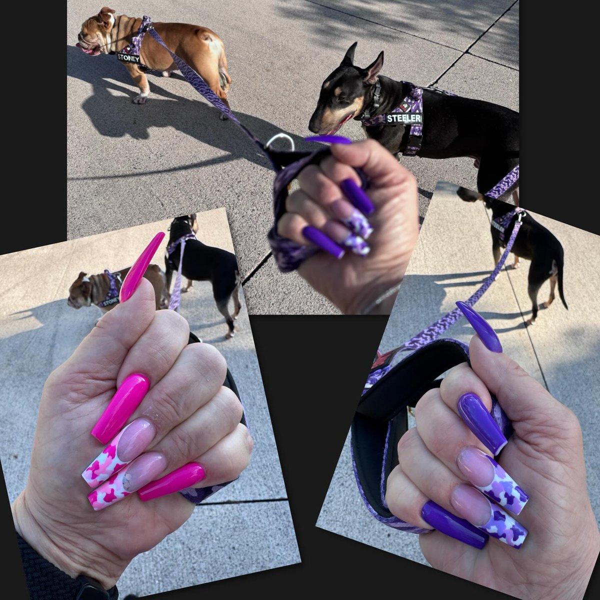 jose_comenta's tweet photo. Just a girl walking the dogs who had to snap these AMAZING camo nails matching the harnesses and leashes. @nailsbynakita @nailaddicts https://t.co/LZOhiHR9Q3