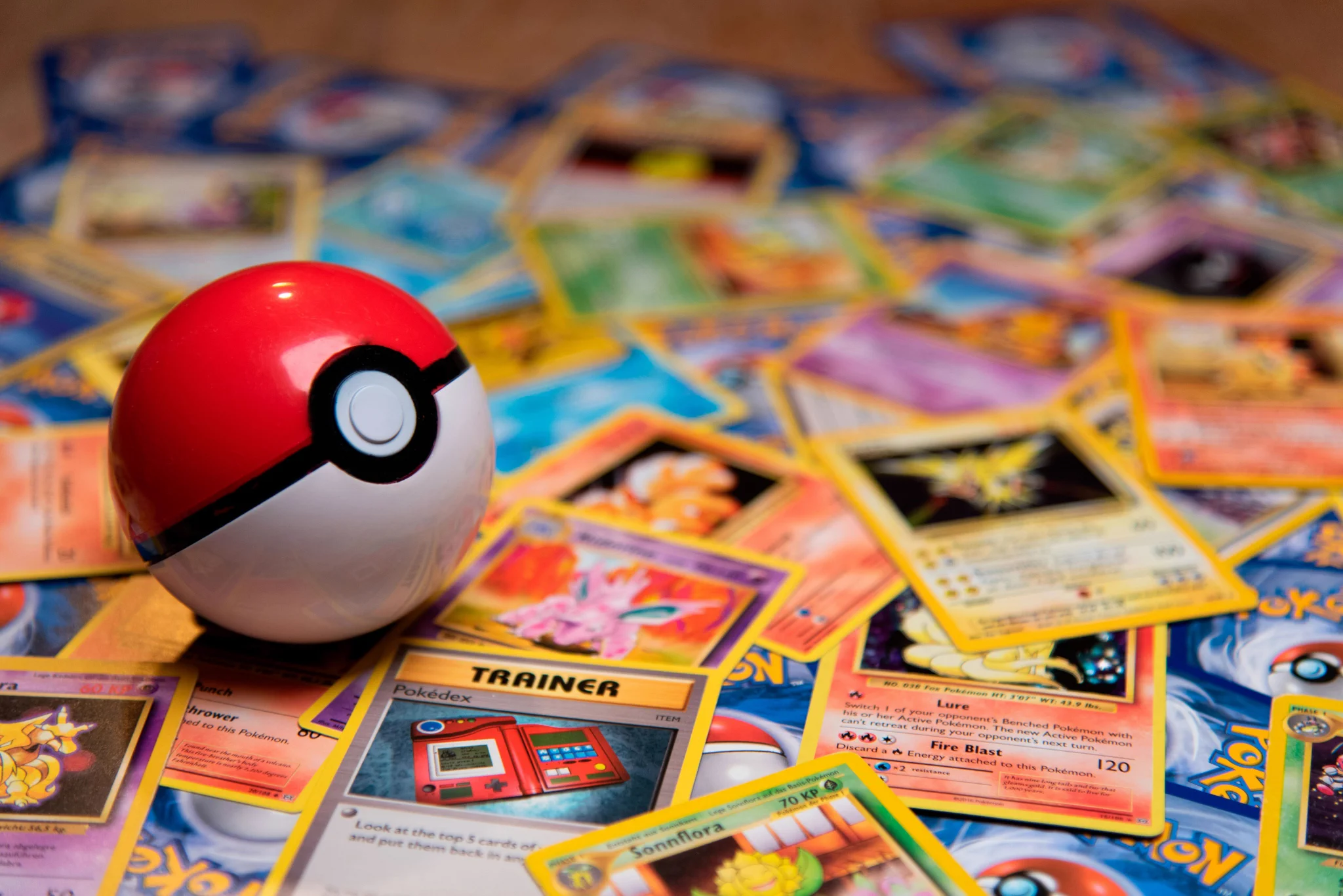Daily Memes on X: "Pokemon card shows are getting so out of hand they're being urged to ban pets 😭 People have apparently started bringing dogs and puppies to trade for cards.