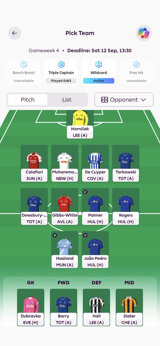 SteakAndDalePie's tweet photo. @FPL__Raptor https://t.co/PFQ1p9tvkz
