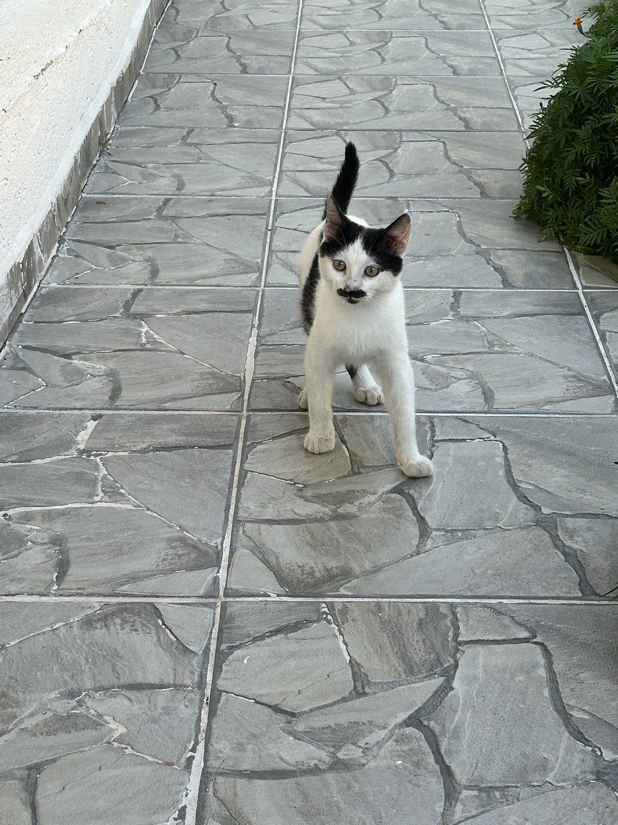 mdphase2's tweet photo. İbram tatlıcat.. https://t.co/h8eU1XBzPr