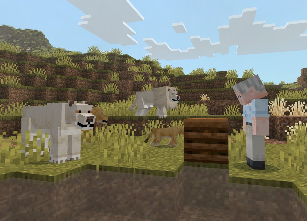 CompyCraft's tweet photo. WildlifeCraft 1.2 is out now, be sure to update! 🦁

Main Addition:
- Added rare leucistic/melanistic variants for Orcas, Leopards, Giraffes & Lions 

Bug Fixes & Smaller Changes:
- Fixed the recent bug causing animals to sleep constantly
- Added leaf and thin branch decay to custom trees
- Fixed bug restricting minimum required sapling growth, the restricted area is now much more accurate
- Added composting support to custom plants
- Fixed waterlogging of custom blocks such as fences and leaves
- Fixed a bug causing mobs' area attacks to harm their own species
- Added varied underwater ground materials (instead of monoculture dirt/sand) to custom biomes
- Improved amphibious mob movement and entering/exiting water behaviour
- Adjusted animation of Komodo, Crocodile & Monitor to give a more realistic walk
- Reintroduced custom cold/warm variants of vanilla mobs to custom biomes
- Reduced water movement speed of beaver
- Fixed wooden slab placement orientation being randomly rotated, rotation is now uniform
- Removed health bars from custom boats
- Added cactus and dead bush placement support to custom sand blocks
- Added furnace support for the burning of custom wooden items
- Added climbing ability to Fossa, Tree Python & Clouded Leopard
- Added random block rotation to custom sand generating in the world, just like vanilla sand

#minecraftㅤ