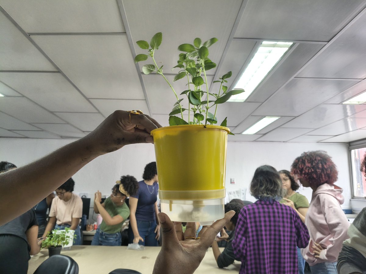purinquokka_'s tweet photo. quando design não é só só desenhar e apertar Ctrl+C e Ctrl+V https://t.co/GmLTNRWl6N
