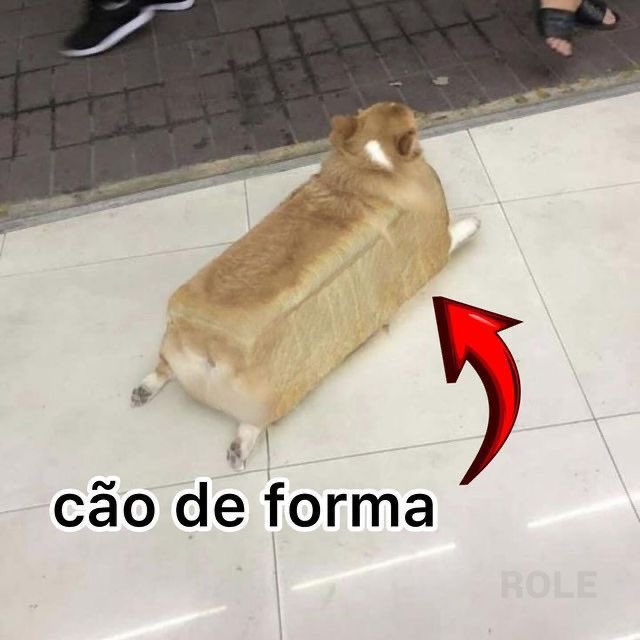 shitpostverdade's tweet photo. https://t.co/1gP0cjfJ6t