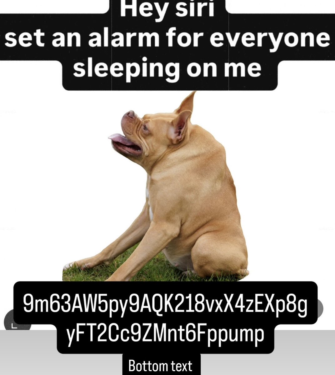 Ivyvibing's tweet photo. Low quality meme high quality coin amirite https://t.co/ozDVJ3vORx