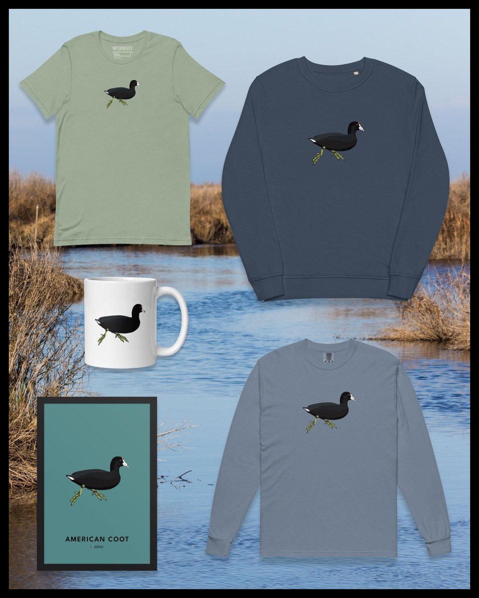 colorflock's tweet photo. The American Coot has officially joined the flock. Shop our newest bird-inspired design at Colorflock! https://t.co/lxgsIkXkwE