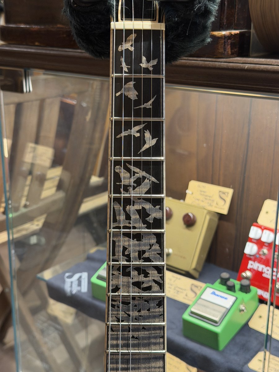 fatman1090's tweet photo. PRS Private Stock 30th Anniversary Birds of a Feather Hollowbody I Limited Edition 🦅🪶
@KSK913_smile がPrivate Stockデビューしました✨
Private Stock 誕生30周年記念モデル🎂
おめでとう🎉
#PRS
#PRSJAPAN
#PrivateStock
#PrivateStockFriday 
#TCI https://t.co/q8tL27psDd
