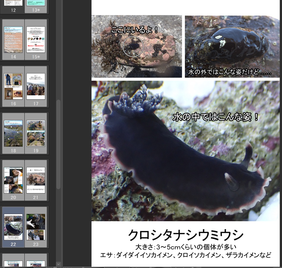 tsukouta_lab's tweet photo. 現在ひそかにこういうのを作成中……
無事に完成したら10月のいきもにあで頒布予定です🐠 https://t.co/MO5TjLzMYK