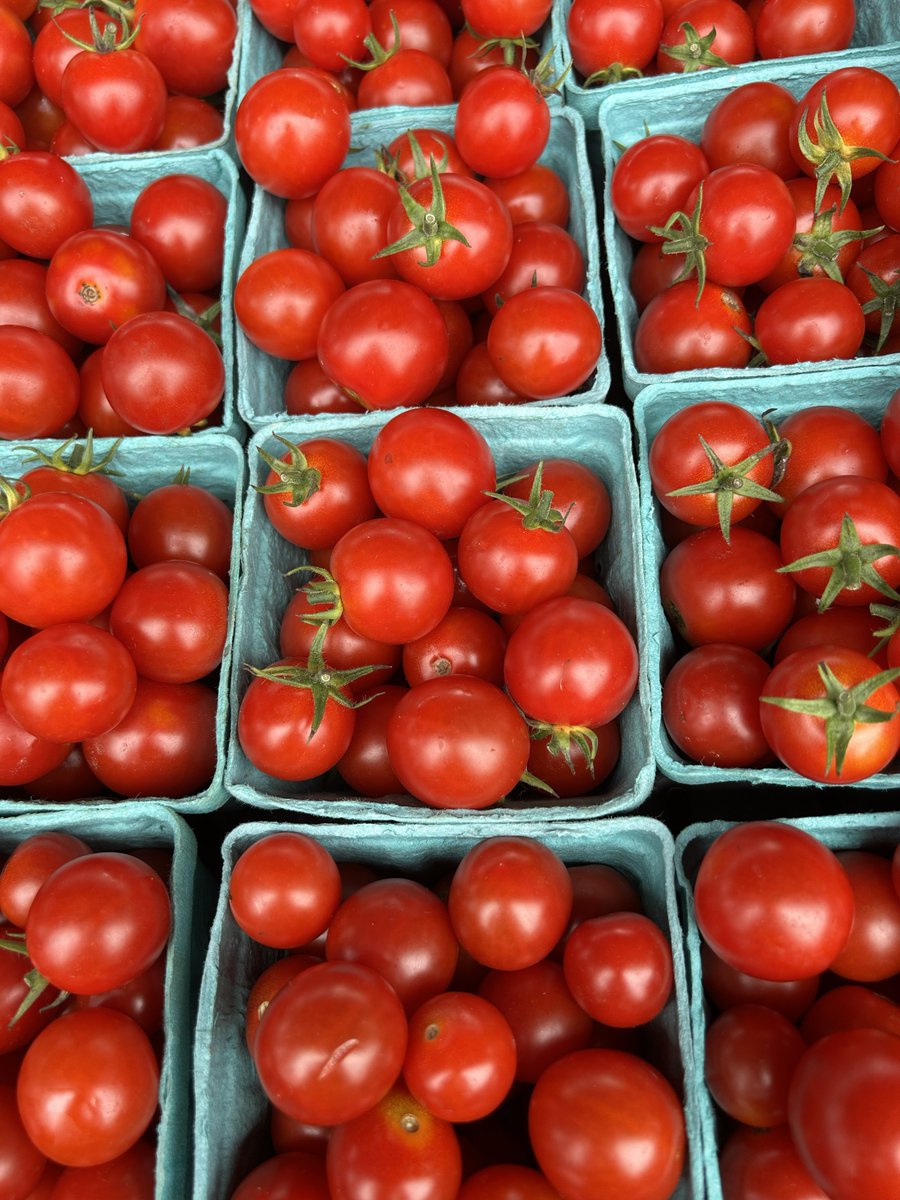 WVDeptofAg's tweet photo. Fun Farm Fact: There are over 10,000 tomato varieties worldwide, ranging from tiny cherry tomatoes to large beefsteak. 🍅🍅 are an excellent source of vitamin C, antioxidants, and potassium. Eat up! https://t.co/5ZjcK6A3Xa