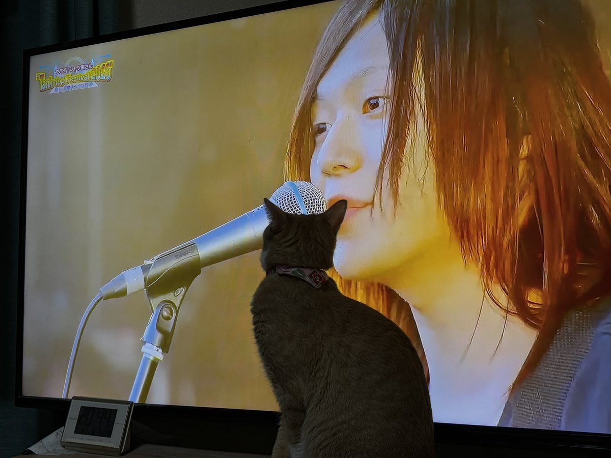 modorubotandayo's tweet photo. 見しゃぶる
猫も一緒に見しゃぶる
 #タンクフェス https://t.co/RDZcJmBPoG