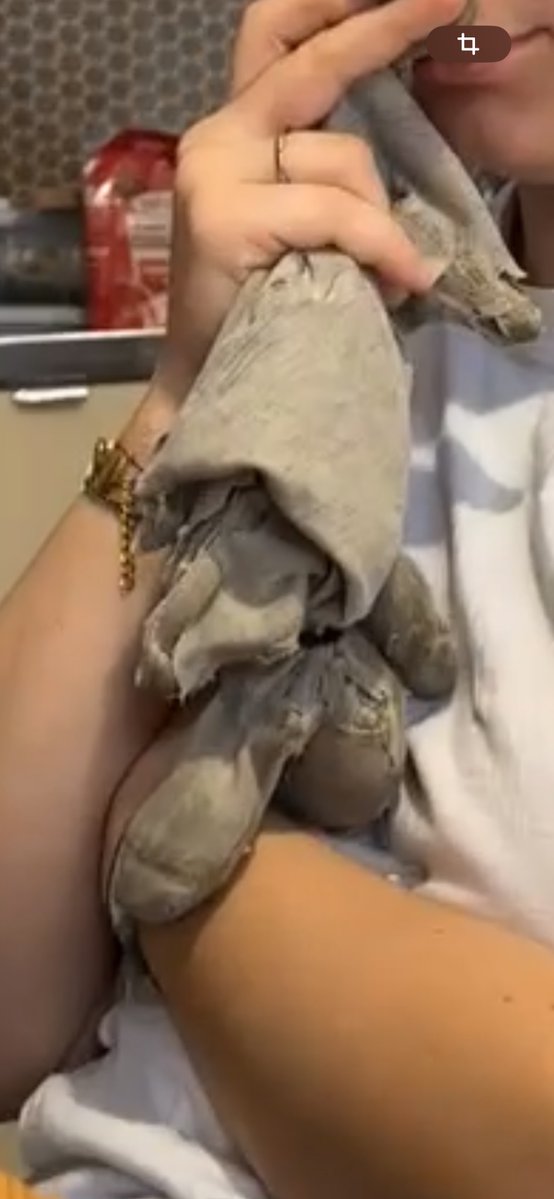 AssOfCurren's tweet photo. J’ai besoin de vous, 
Hier j’étais à Annecy et j’ai perdu mon doudou. 
Je pense l’avoir perdu vers « le ritalo »
Voici une photo de mon doudou. 
S’il vous plaît c’est super important pour moi 

#Annecy #leritalo #doudou #besoindaide #help #vinted #annecy #france https://t.co/zjgN3XDx2W