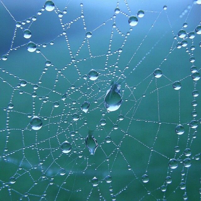 skinnymintchoco's tweet photo. #shedrtwt I love when the bI00d bI33d$ in like bubbles and looks like water on a spiderweb it's so pretty
(Is this enough censorship im scared) https://t.co/3YPElmeMWK
