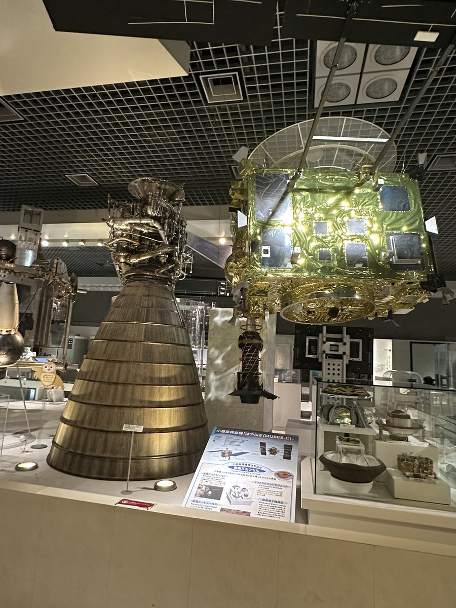 MM_______tu's tweet photo. 本日の一発目！国立科学博物館でした‼️
楽しかったー！！ずっといたい！！ https://t.co/Y73UaifGfM
