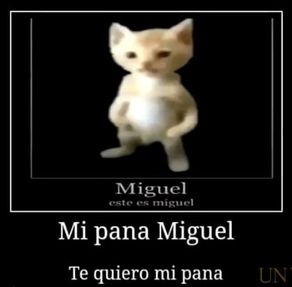 MATTT_SSS's tweet photo. @1iinfern9 panafresco de corazón https://t.co/wCa37d9ekH