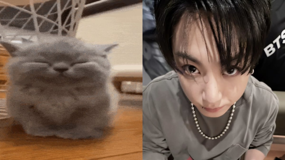 jungkookmoonn's tweet photo. https://t.co/2j2pZE5TDU