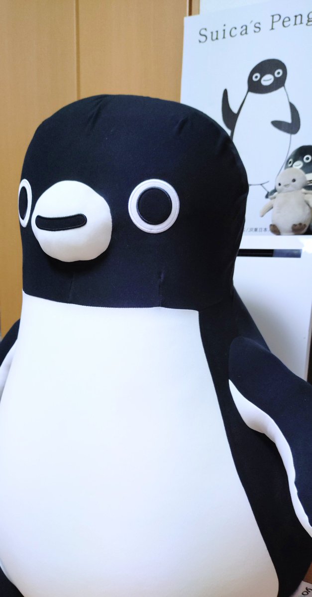 KaRui80's tweet photo. 運送時の段ボール、パネルっぽくした。
SuicaのペンギンYogibo、全体を撮りたいのに、部屋の狭さが邪魔をする。 https://t.co/41OJ3GRLAQ