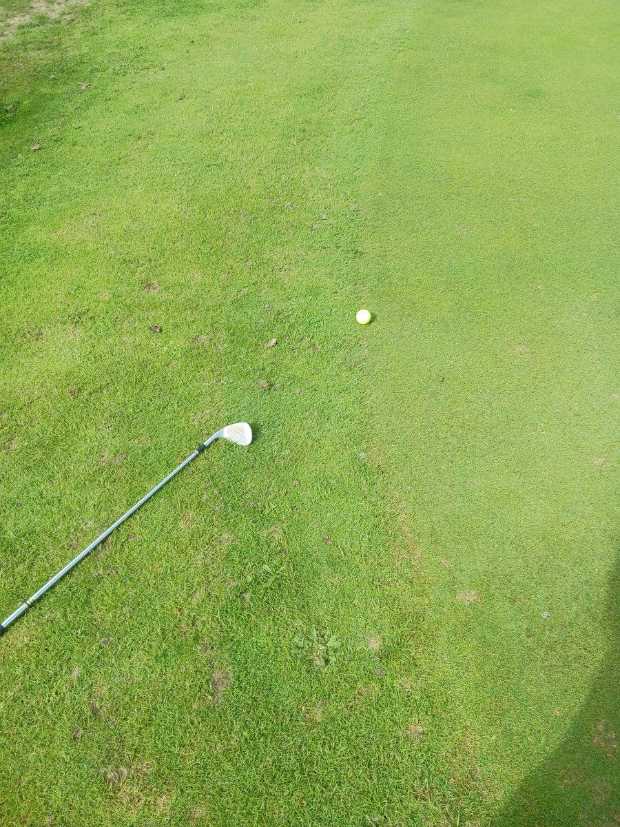 DionisStephane's tweet photo. Hey Paige, my approch  just on the green 😅🤣 Still alive ! https://t.co/snf4rkjM3F