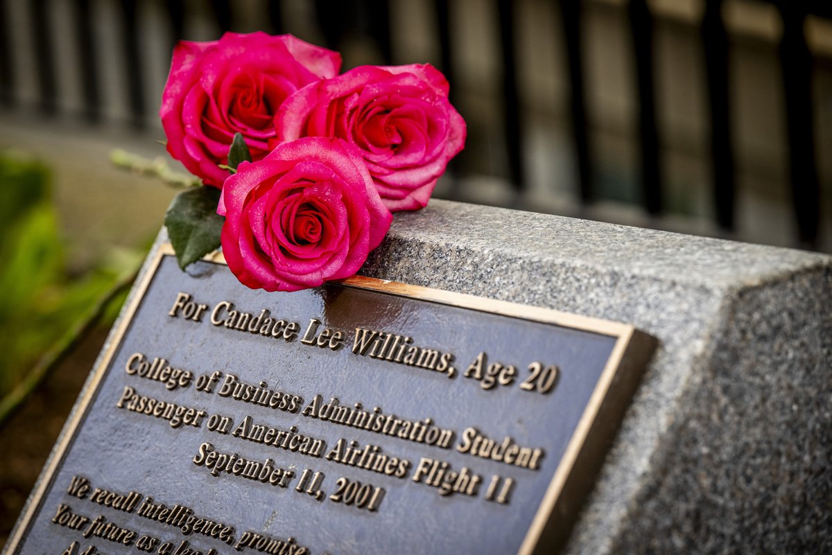 Three vibrant pink roses rest on a granite memorial with a bronze plaque. The plaque reads: 'For Candace Lee Williams, Age 20, College of Business Administration Student, Passenger on American Airlines Flight 11, September 11, 2001. We recall intelligence, promise Your future as a lear'.
