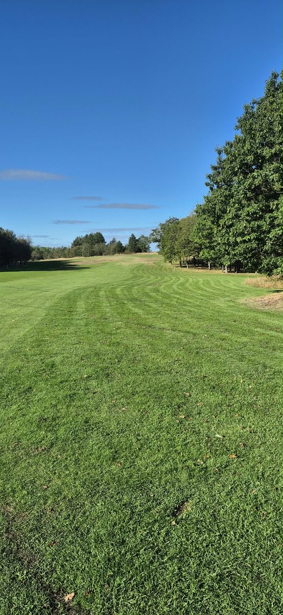 GolfWhitwood's tweet photo. Autumn 🍂 Cup Ready #forthecommunity https://t.co/TLVPLul6n7