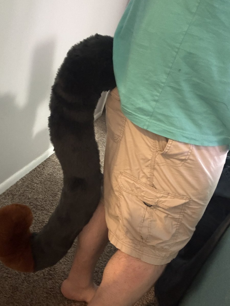 SuitsbyKosmo's tweet photo. Tail :3 he’s almost done :3 https://t.co/tENiqunvof