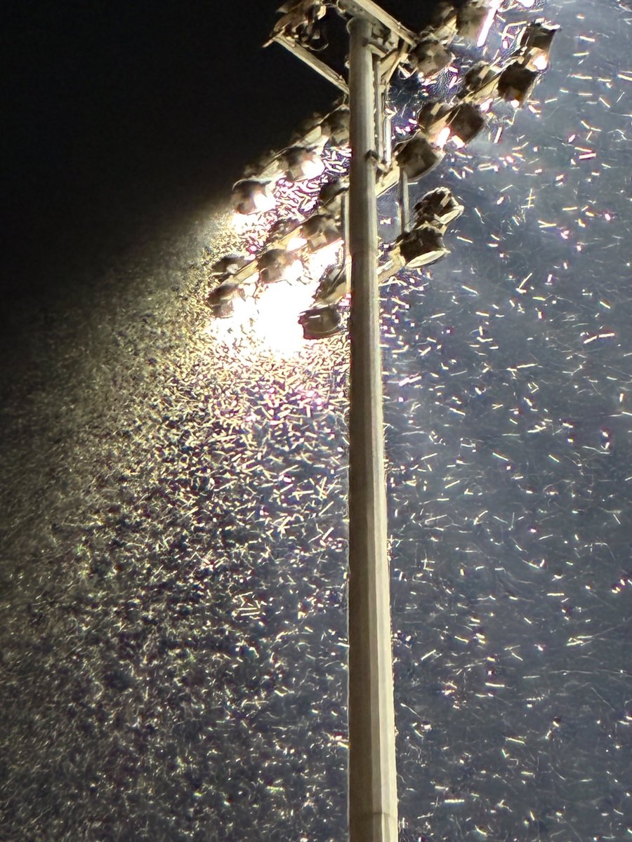 GideonDionysius's tweet photo. #floodlightfriday #provercelli #zanzare
#groundhoppen #groundhopper #groundhopping #serieC #calcio #vercelli https://t.co/RABeiJTGZS