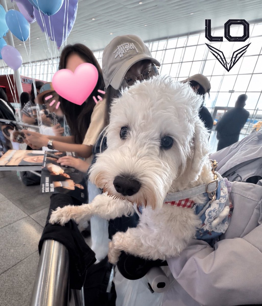 LingOrm_Vbots's tweet photo. Bà bên cạnh Hăn tâm cơ quá. Nhưng cũng được hưởng ké rồi. Muahahahahahahahaha

#LinglingKwongxCalvinKlein
#CalvinKleinSS27 #NewYorkFashionWeek
#CalvinKlein #LinglingKwong
@CalvinKlein @linglingsirilak https://t.co/Ot8iGypQny