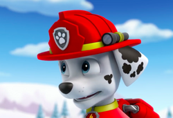 hoangkhang5686's tweet photo. Marshall embarass tell best friend Ryder the slope unsafe #pawpatrol https://t.co/qxeYZVh7cI