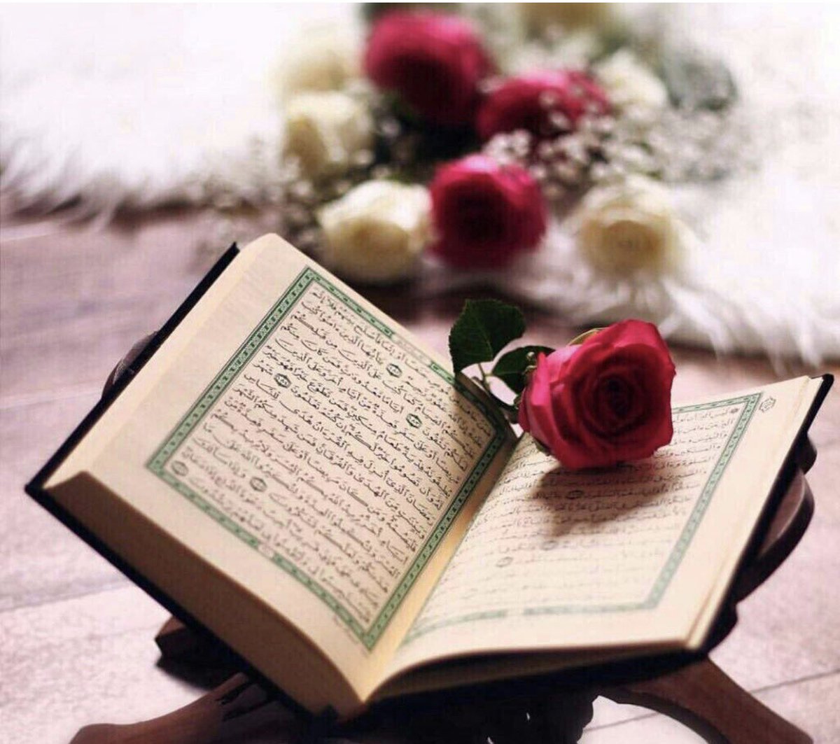 WrdHrwf's tweet photo. نورًا لك مابين الجمعتين ، سورة الكهف في صفحة واحدة ……………….      https://t.co/qMaE4Utqm8 https://t.co/FAMmeJNAvt