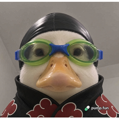 PumpfunEco's tweet photo. $Nasduck has pumped 130% today! https://t.co/NWx1feEbW7