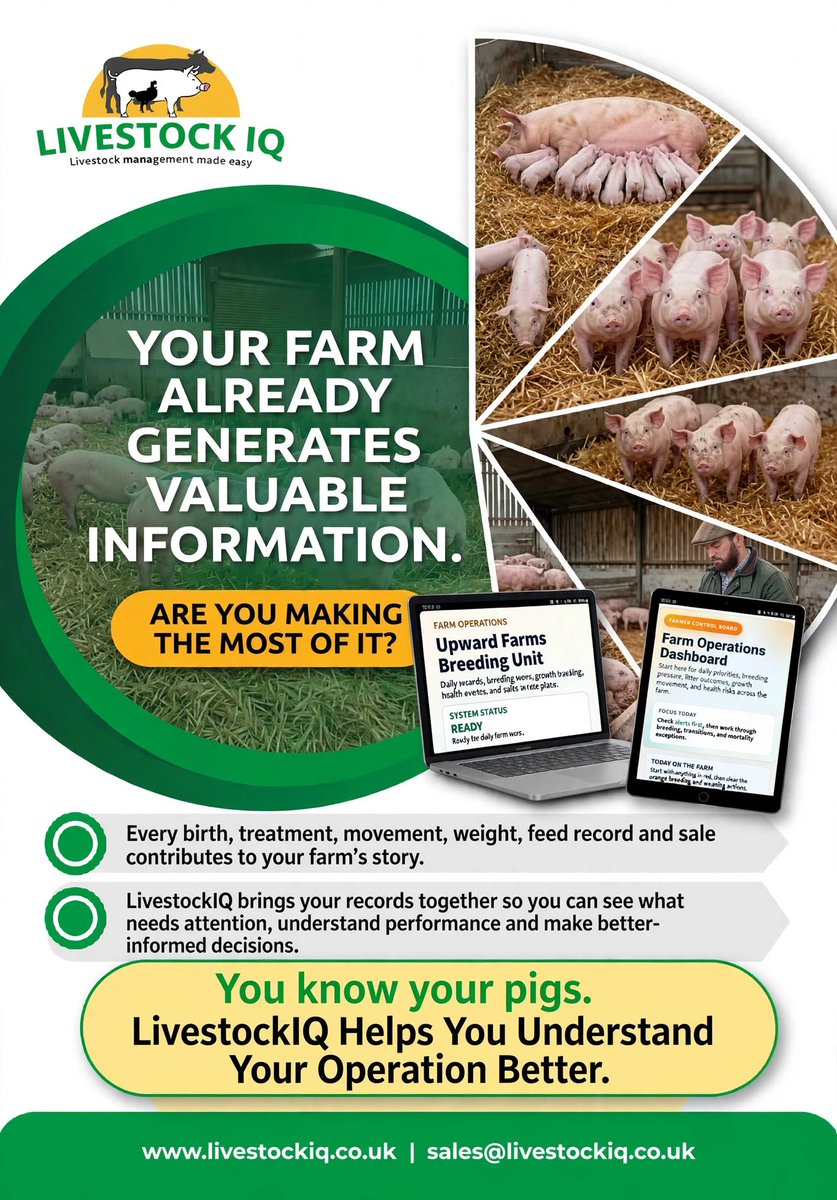 livestockiqapp's tweet photo. LivestockIQ helps pig farmers move beyond record-keeping by turning farm data into clear daily priorities from breeding and health checks to farrowing and weaning tasks so nothing important gets missed.
Learn more @: https://t.co/gkZTUinLMB
 #PigFarming #PigFarmers https://t.co/nE4DdMf0Ls