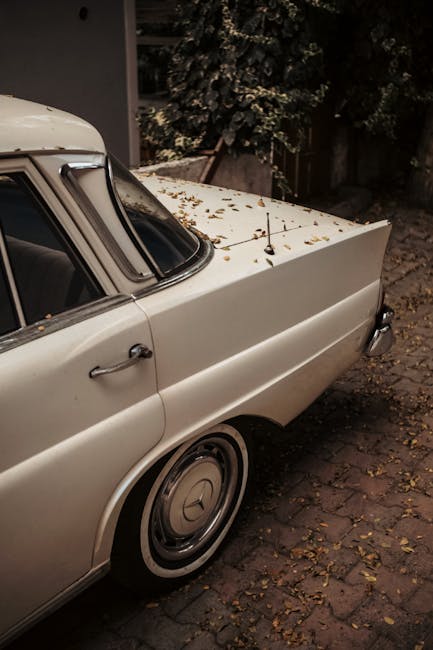 KandisKatye2's tweet photo. العلاقة يحرك الكلمات الأيام تزهر لما الثقة بين الصادقة. beatrice ruh📹 https://t.co/NtLfzjnk7N