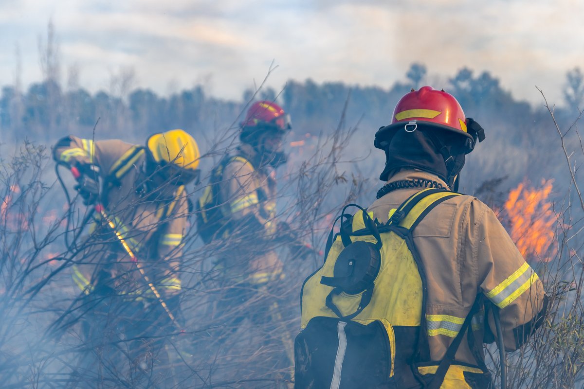 GFDRR's tweet photo. Since 1970, wildfires in Argentina have damaged crops on more than 11 million hectares of land, required evacuation of more 20,000 people, and destroyed thousands of education centers.

Learn more about how we are supporting Argentina to strengthen its wildfire preparedness and response: https://t.co/mxOOsBVvQc #WorldFireCongress